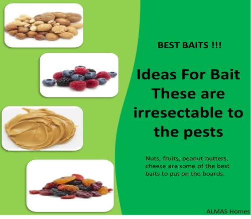Image of Multi (10 or 5) Pack Strong Sticky Trap Pad And Boards For Multi Pests, Can Be Used Indoors At Homes And Offices Or Outdoor. Fold Into Any Shape. Non- Toxic. Eco- Friendly (23.7 X 16.8 X 0.4 cm)