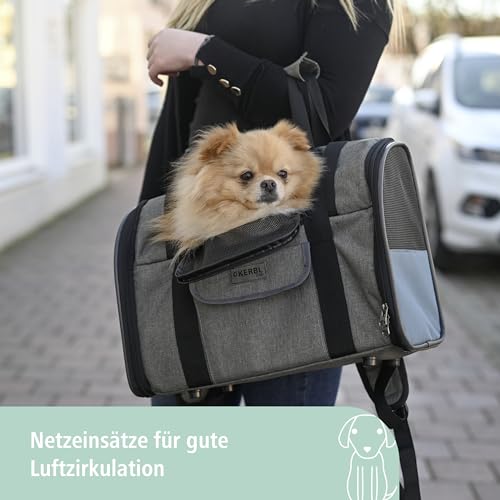 Kerbl Pet Hunderucksack Vacation, Hundetasche, Hundetransport, grau, blau, 43x24x30cm, Oxfordgewebe, kleine Hunde, Katzen, robust, schmutzabweisend