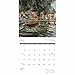Carousel Worldwide, Monet W 2026 Square Wall Calendar