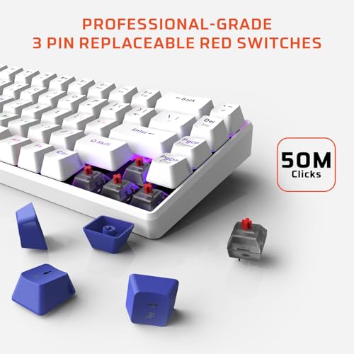 Image of EvoFox Katana S Mini Wired Mechanical Keyboard | Hot-Swappable Silent Red Switches | 68-Key Compact Layout | Vivid Rainbow Backlighting | 1000Hz Polling Rate, All Keys Anti-Ghosting (White)