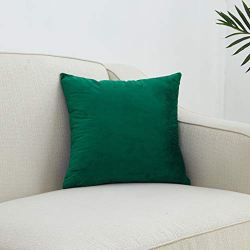 RKAAS HOME Pack of 2 Super Soft Decorative Luxurious Dutch Velvet Square Cushion Covers for Living Room Sofa Couch Bed 45cm x 45cm 18x18 Inches (Pack of 2