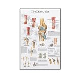 Anatomisches Poster, Kniegelenk-Poster, coole Kunstwerke, Gemälde, Wandkunst, Leinwanddrucke, hängendes Bild, Heimdekoration, 20 x 30 cm