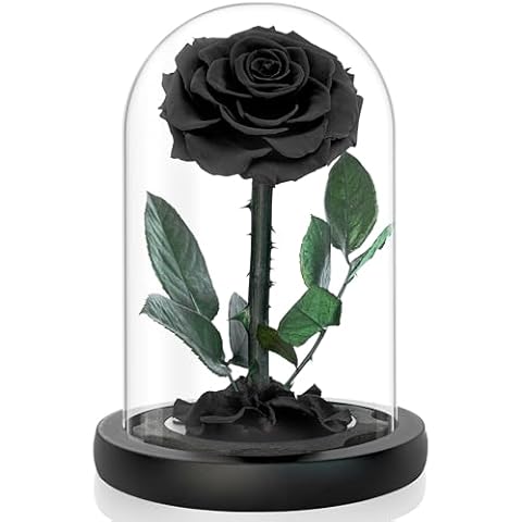 YOJOYI Everlasting Enchanted Rose - Authentic Black Rose Encased in Glass Dome - Gothic Flowers, Dark Romance Decor, Perfect for Gifts and Decor - A Memento of Love That Lasts Forever Cover