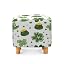 Green Clover