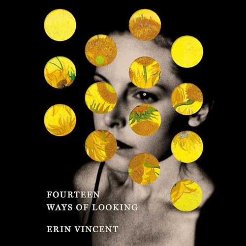 Fourteen Ways of Looking Audiobook By Erin Vincent cover art