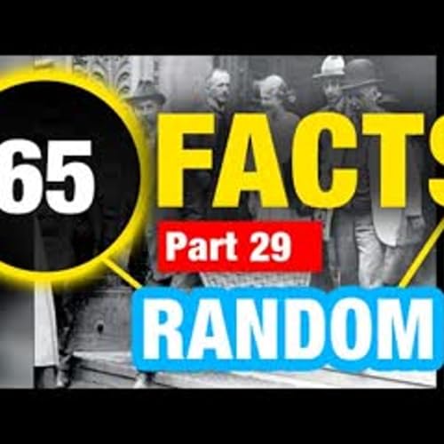 65 Random Facts You Never Knew Mind Blowing Weird Fun Facts Random Facts You Never Knew
