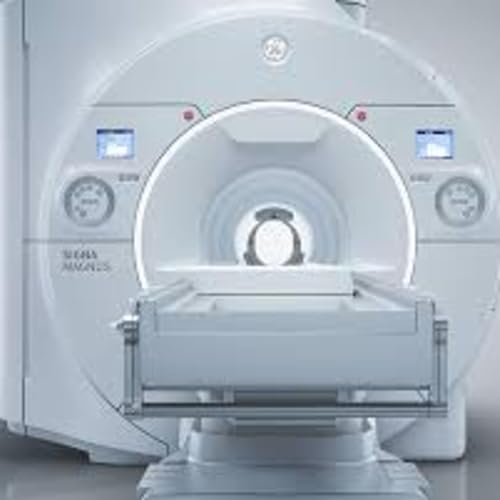 Magnetic Containment: Why MRI Scanners Don&rsquo;t Hijack Your Compass