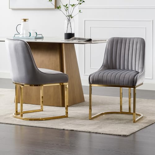 chairus Lot de 2 Chaises de Salle à Manger Rembourrées en Velours Chaise de Cuisine Chambre avec...