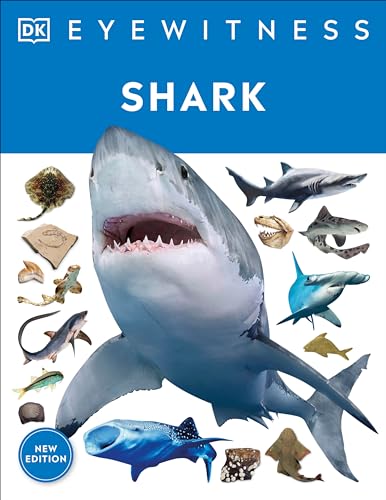Eyewitness Shark: Dive into the fascinating world of sharks