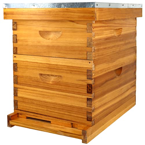 ThxBees 8 Frame Bee Hive Complete Beehive Kit Dipped in Beeswax Include Beehive Frames and Waxed Foundation Sheets for Beekeeping (1 Deep Brood & 1 Medium Super Bee Boxes)
