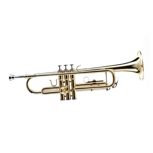 Hawk WD-T311 Bb Trumpet with Case and Mouthpiece, Brass Lacquer