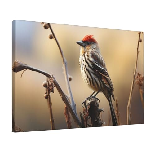 Peinture murale décorative salon affiche oiseaux sur toile sans cadre 30x45cm