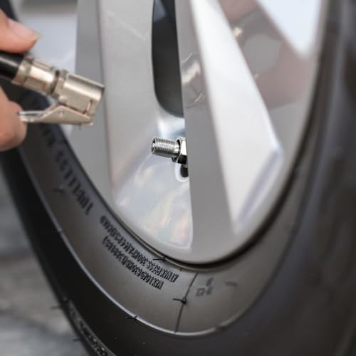 RUNYU 14 Stück Autoreifen Ventil 11,3 mm, Metallventile für Alufelgen, Universal Felgenventil Metall Autoventil TR525 Stahl Reifenventil für Auto Lastkraftwagen Motorrad, Silber