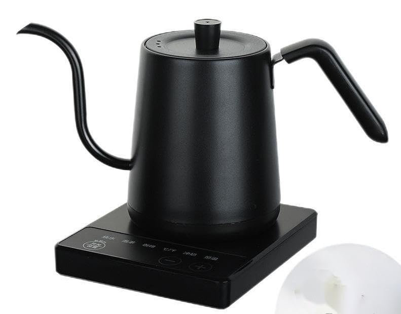 Bouilloire kung fu à long bec pour infuser le thé à température idéale