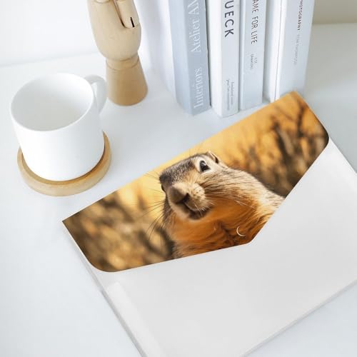 Organiseur documents marmotte : rangement efficace 6 compartiments - 6