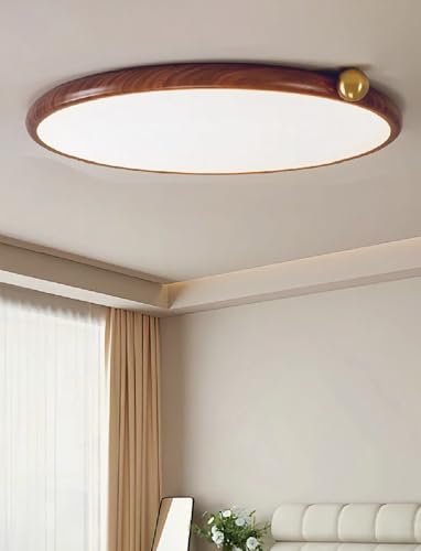 Luminaire plafonnier LED télécommande moderne pour balcon et cuisine