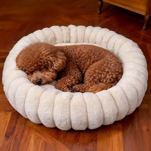 Vhen When Donut Dog and Cat Bed