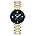 Gold/Navy Blue