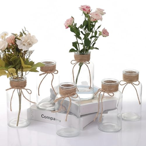 TAOZIMA Glass Flower Vases for Centerpieces Boho Cylinder Bud Vases in Bulk Mason Jars for Weddings, Parties & Vintage Home Decor (6, Clear)