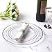 I00000 96 Pieces Clear Silver Plastic Plates, Clear Disposable Plates with Silver Rim Heavy Duty Fancy Wedding Party Plate Include 48 Dinner Plate 10.25