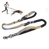 TSPRO Hands Free Dog Leash for Walking Running with Safety Car Seat Belt Shock Absorbing Bungee Leas