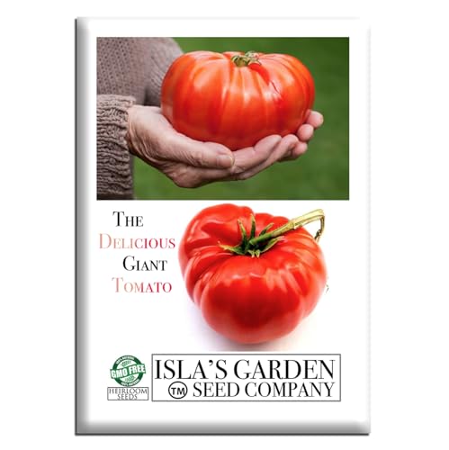 The Delicious Giant Beefsteak Tomato Seeds (Solanum lycopersicum)– 50+ Heirloom Non-GMO Seeds by Isla’s Garden Seeds, Can Grow to 1 Pound! Indeterminate 85–95 Days, Large Meaty Slicer, Summer Favorite