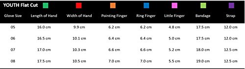 Select Sport America 3 Youth Guard Goalkeeper Gloves, 6 #TOP3
