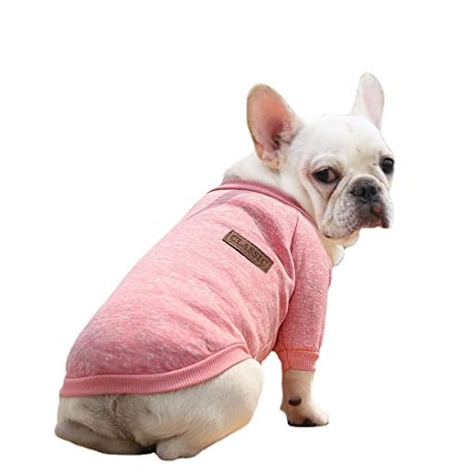 Invierno Ropa Perro Pequeño Chihuahua Yorkshire Color Sólido Bowknot Jersey para Mascota Cachorro niña