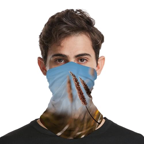 Balaclava para cuello y cara transpirable, cortavientos y protector contra el polvo, ideal para otoño, verano y actividades al aire libre, para hombre y mujer miniatura 3