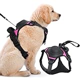 Pet Leash Vest Dog Vest Harnesses Weighted Vest for Dogs Dog Harness with Leash with 2 Leash Clips, Adjustable Soft Padded Dog Vest Nylon for Training Hunting Walking, Black (L)