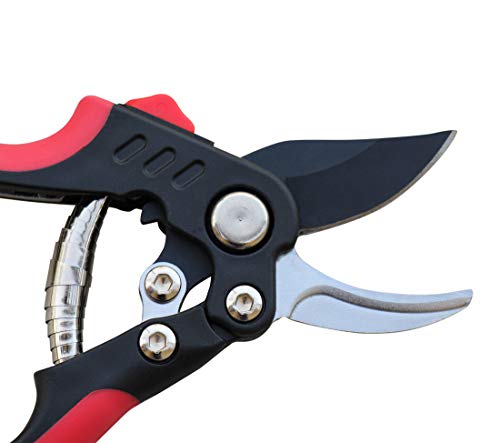 Image of TABOR TOOLS S851A Bypass Pruning Shears with Compound Action, High Carbon Steel Blades with 3 /4 Inch Cut Capacity, Professional Hand Pruner & Garden Secateurs for Easy Cutting, Safety Lock