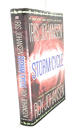 Storm Cycle view 2