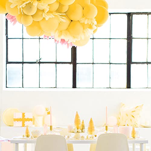 108Pack 12 Inch Balloon Baby Shower Kid's Birthday Party Balloon Gender Reveal, Wedding, Children's Party Picnic Theme For Kids Birthday Party Favor Supplies Balloon Garland For Theme Party Decors #TOP5