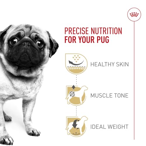 ROYAL CANIN Breed Health Nutrition Pug Adult Dry Dog Food, 10-Pound by Royal Canin