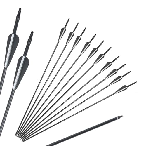 M.J COMFY-LIFE 10Pcs Archery Arrows 30 inch Carbon Hunting Targeting Arrows