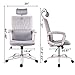 SMUGDESK, Mesh, Ergonomic Office Desk Computer Task Chair, Gray