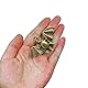 ZILucky Duschvorhanghaken und Ringe „Fledermäuse“, Partyzubehör, Dekoration für Halloween, Edelstahl rostfrei, Bronze, 12er-Set