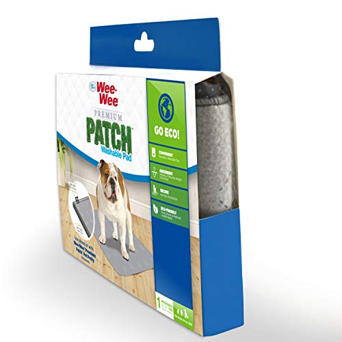 Image of Wee-Wee Premium Patch Washable Pad for Dogs, Count of 1, 1 CT