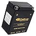 Caltric Agm Battery Compatible with Yamaha Timberwolf 250 Yfb250 2Wd 1992 1993 1994 1995-1998