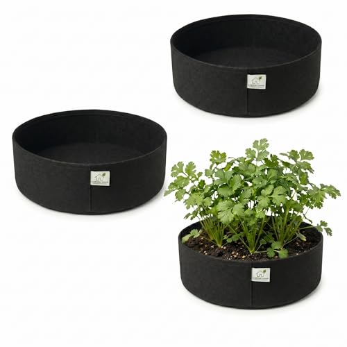 Image of 400 GSM Geo Fabric Round Grow Bags 12x6 Inch, Black Planting Bags for Terrace and Kitchen Gardening Pack of 3