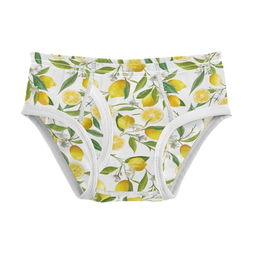 Boys' Exclusive Briefs Toddler Underwear 95% Combed Cotton Boxerbriefs 2T Lemon and Leaf Pattern 5