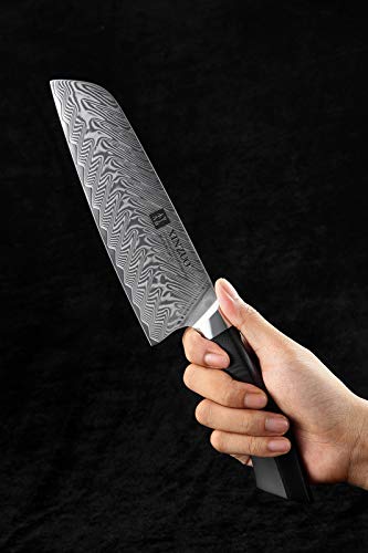 XINZUO Damascus Steel 5Pcs Kitchen Knife Set, Professional Japanese Style Knives, High Carbon Steel Sharp Chef Santoku Slicing Knife Utility Paring Knife, Military Grade G10 Handle -Feng Series