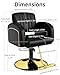 Baasha Professional Brown & Gold Salon Chair, Luxury Hydraulic Styling Chair with Soft PU Leather, High-Density Foam Cushion, 360° Swivel, Stainless Steel Frame, Ergonomic Design, 330 lbs Capacity