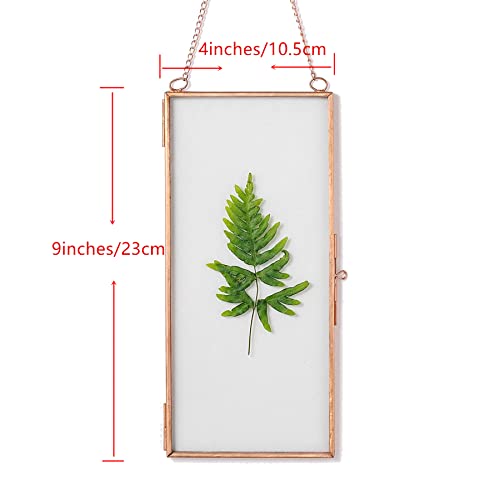 Ncyp Hanging Glass Floating Photo Frame With Chain - Vintage Glass Frame For Pressed Dried Flowers - Handmade 4X9 Inches - Wall Mounted Display Picture Frame - Home Decor Diy (Glass Frame Only) #TOP6