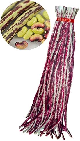 Long Bean Seeds 10g Snake/Yard-Long Asparagus Bean Red Noodle Pole Bean Garden Vegetable Organic Green Fresh Chinese Seeds for Planting Outside Door (Long Bean Seeds(Mix))