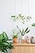 Glass Hanging Planter Plant Terrarium Hanging Propagation Station Container for Hydroponic Plants Home Garden Decor 3 Type