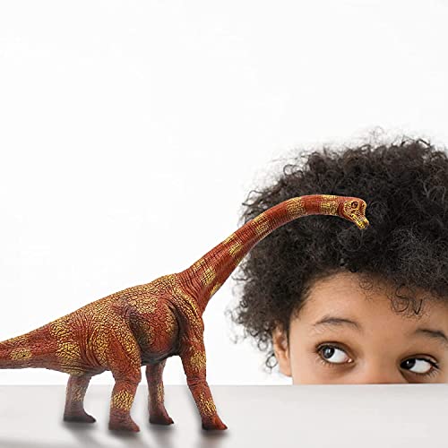 Image of Realistic T Rex Dinosaur Animal Figure for Kids Real Textured Dinosaurs Toy (Brachiosaurus (14F))