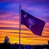 South Carolina Flag 3x5 Outdoor Double Sided Heavy Duty Durable 3 Ply South Carolina State Flags Banner with 2 Grommets #3