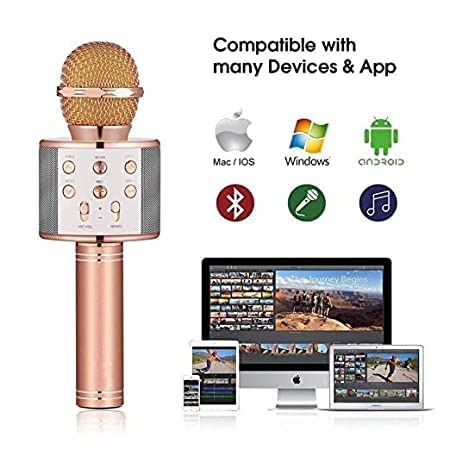 Image of Seraphic Wireless Bluetooth Microphone for Kids - Karaoke Singing Mic with Speaker - Ktv Karaoke Bluetooth Mic / - Assorted Colours