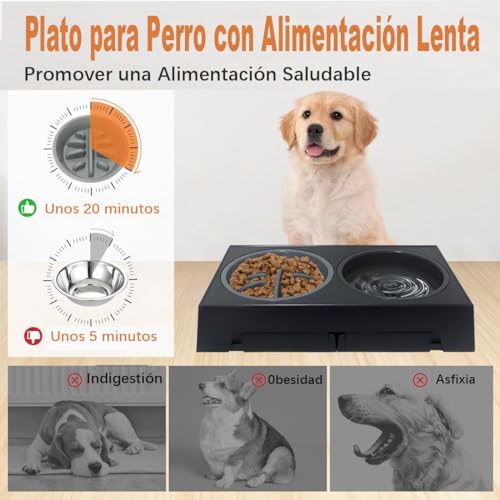 Catálogo para Comprar On-line Platos para perros de esta semana. 5 Catálogo para Comprar On-line Platos para perros de esta semana. 5